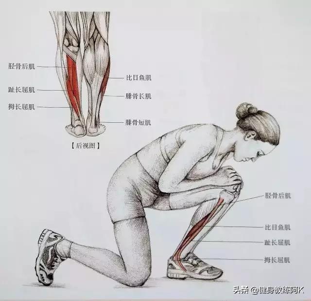 防止小腿变肌肉腿的拉伸动作，跑后7大拉伸动作