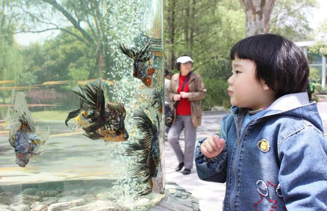 周末适合带孩子游玩休息的地方，周末去哪儿不用愁