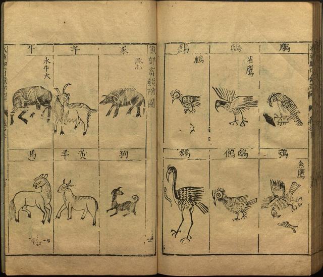本草纲目全书带图，李时珍本草纲目全书（李时珍著《本草纲目》附图卷）