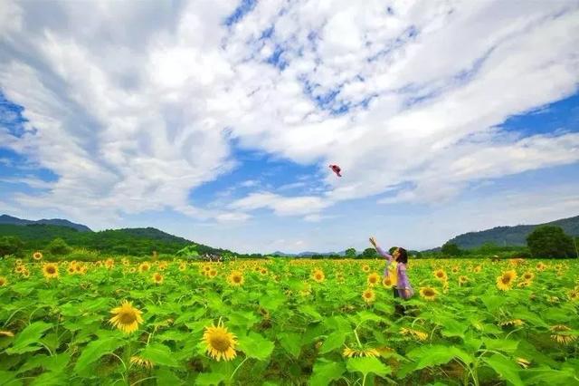 九江免费的旅游景点有哪些，九江最值得去的十大旅游地