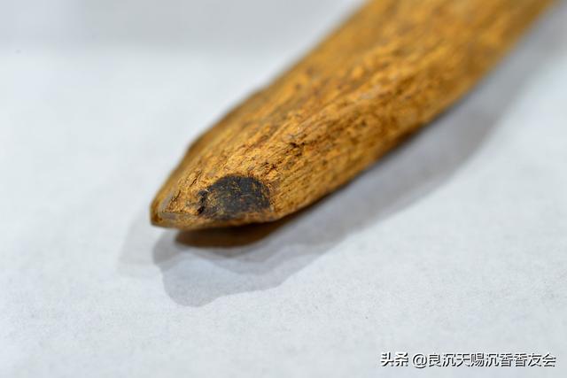 怎样辨认奇楠沉香树，比奇楠还稀少的