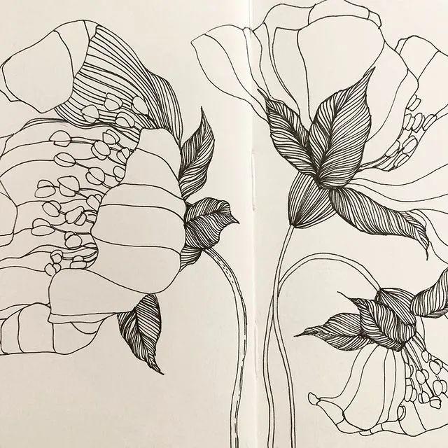 妙笔生花水墨画教程，教科书级别的植物线描