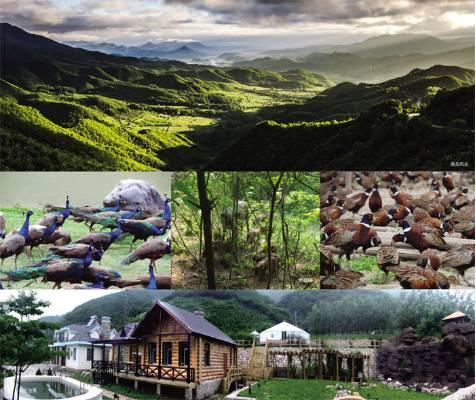 辽宁营口旅游景点，营口市九大景点，你都去过哪里