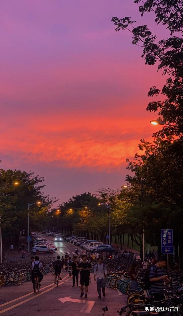 大学校花每一张都是壁纸，最美大学校花，哪个最漂亮