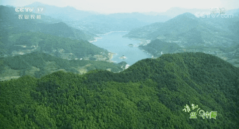 木耳食用的注意事项，黑木耳泡发不当或有生命危险