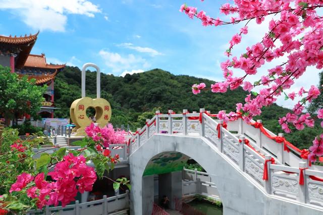 东莞樟木头观音山，东莞旅行打卡观音山（广东观音山国家森林公园）