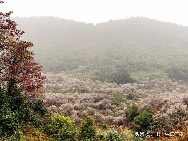 惠州市区旅游攻略自由行攻略，惠州最值得游玩的N个地方