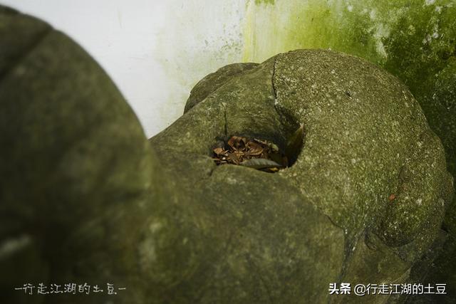 虞山国家森林公园，历史上的虞山公园