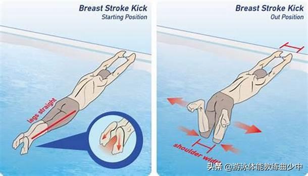 蛙泳分解教学，蛙泳完整教学流程