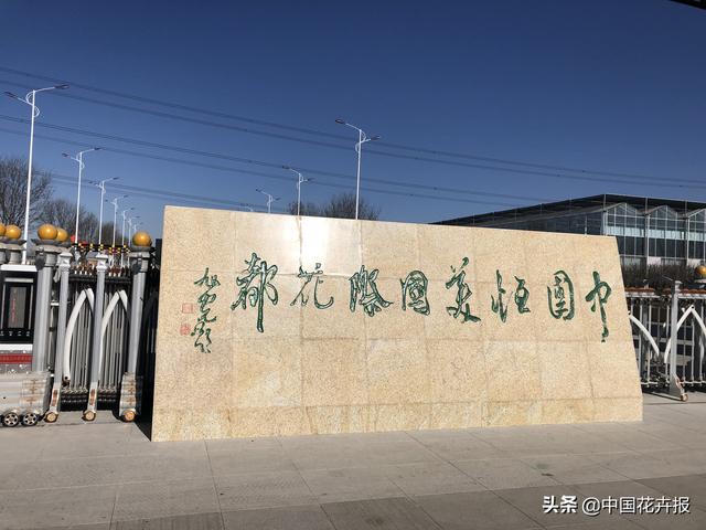 北京花卉批发市场，北京花卉批发市场什么时候开业（北京宝藏花卉市场）