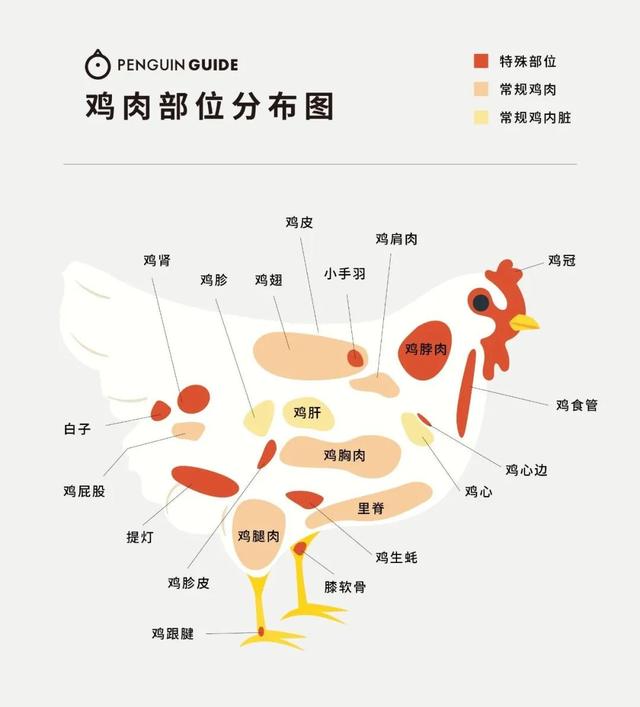 不关鸟事の烧鸟，烧鸟冷知识