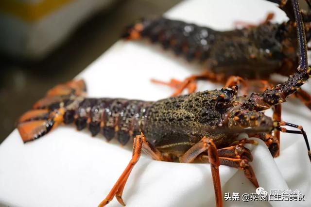 高档海鲜有哪些，全世界最顶级的海鲜（全球十大顶级海鲜食材！）