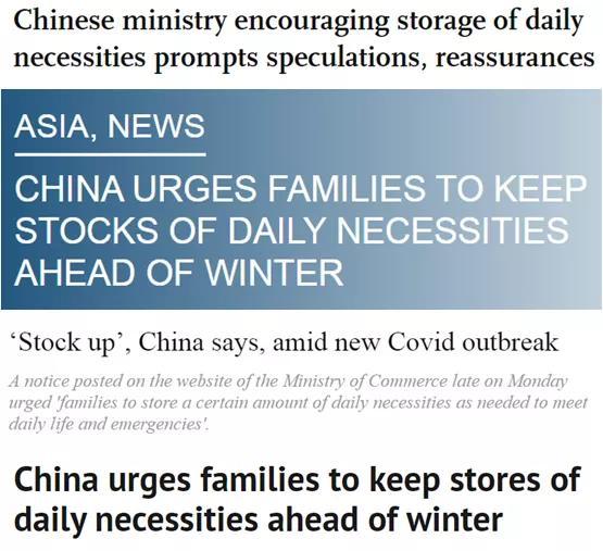 储备必需品英语怎么说，存储一定数量的生活必需品
