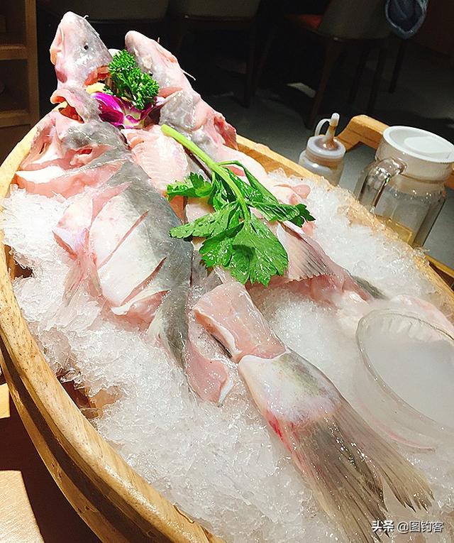 长江名贵鱼前十名，有哪些名贵的淡水鱼（国内最昂贵的10种鱼类）