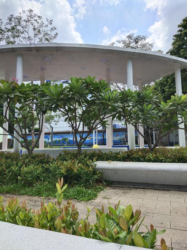 深圳儿童公园都有哪些，深圳又一家儿童公园