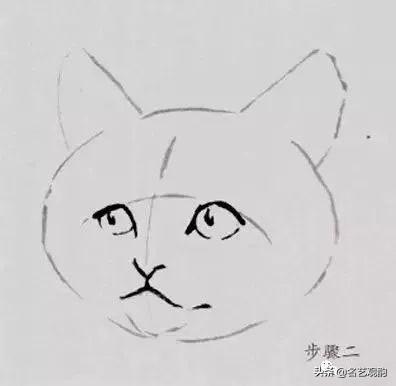 100种小猫怎么画，100种画真猫的画法（教你在纸上养个主子）