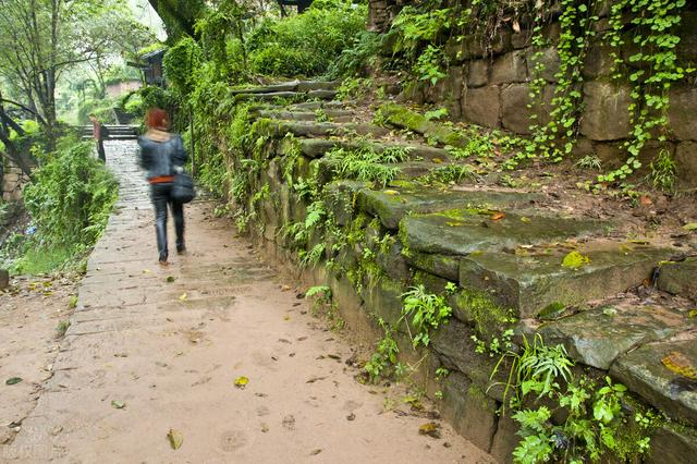 重庆周边凉快的避暑打卡地两三天，重庆周边这⑧个避暑胜地只有25℃