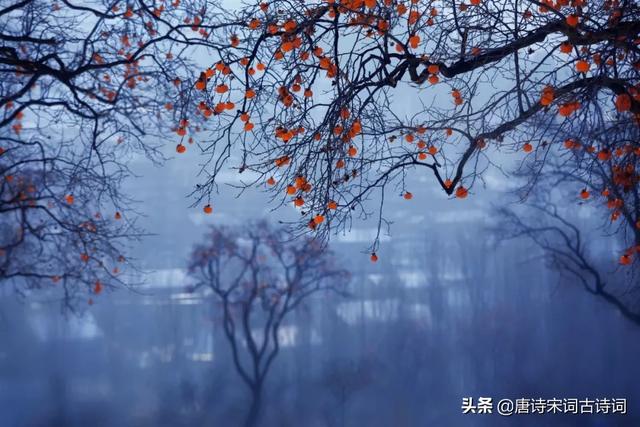 句句入骨的人生诗句，20句经典诗词句句扎心