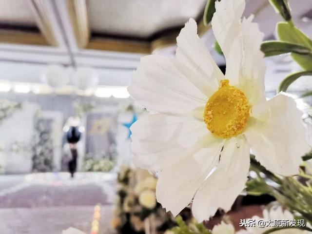 成都求婚最好的方法，太原最火的求婚圣地
