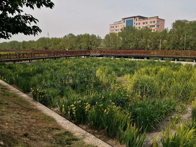 万泉河游览区游玩攻略图，休闲运动的好去处