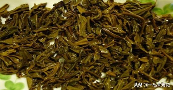 茶水可以浇花吗，茶水浇花的正确方法