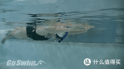 游泳教学零基础新手自由泳小技巧，自由泳的基础动作