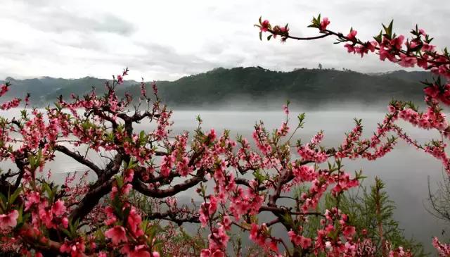 龙溪园水上乐园门票，沈阳周边旅游二日游