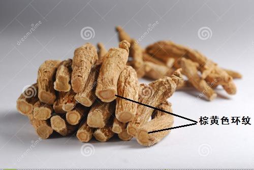 人参怎么选择图解，不过人参也有很多种