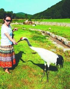 黑龙江省鸡西市市辖区，黑龙江鸡西市概述