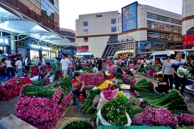 便宜又实惠的鲜花市场，打卡全国最大的鲜花批发市场