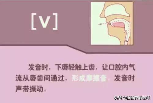 英语音标怎么学，初学英语者必看如何学习国际音标（资深老教师说：音标就该这样学）