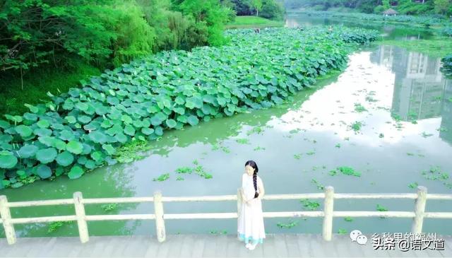 百家姓林排第几，福建省姓氏最新排名