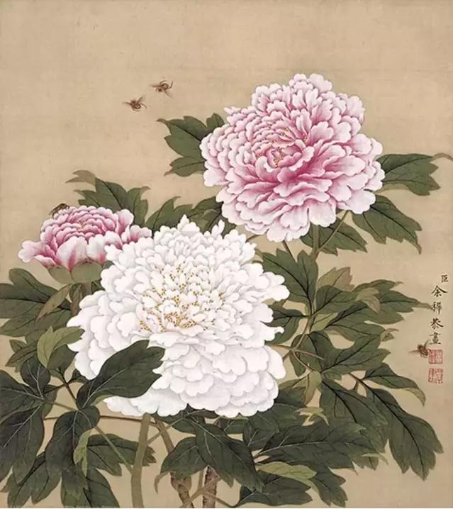 牡丹鉴赏实力画家笔下的牡丹风华，实力画家笔下的牡丹风华