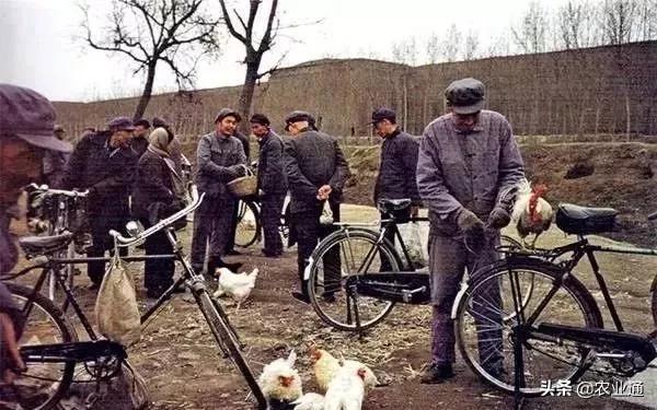 老歌经典大全80年代，盘点80年代经典老歌（80年代的那些老歌）