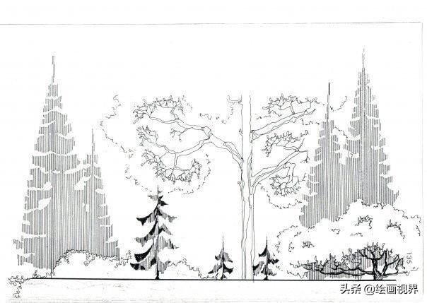 超级简单的植物线描图怎么画，手绘植物很难画