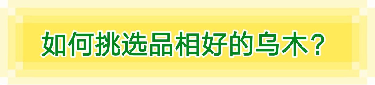 多肉乌木种类大全，8种多肉逆天而行