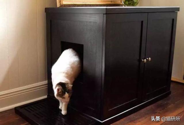 买猫砂盆哪种比较好，猫砂盆最全选购指南