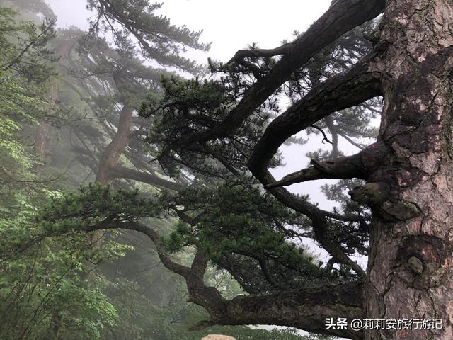 徒步南迦巴瓦峰最佳观景台，雾中徒步薄刀峰