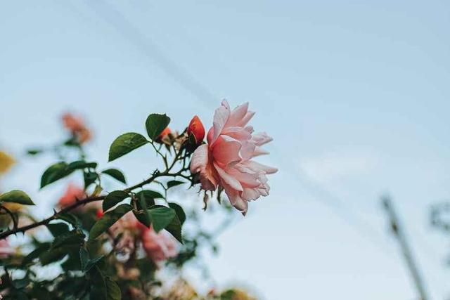 一个女人对已婚人的忠告，给已婚男人总结出几个忠告