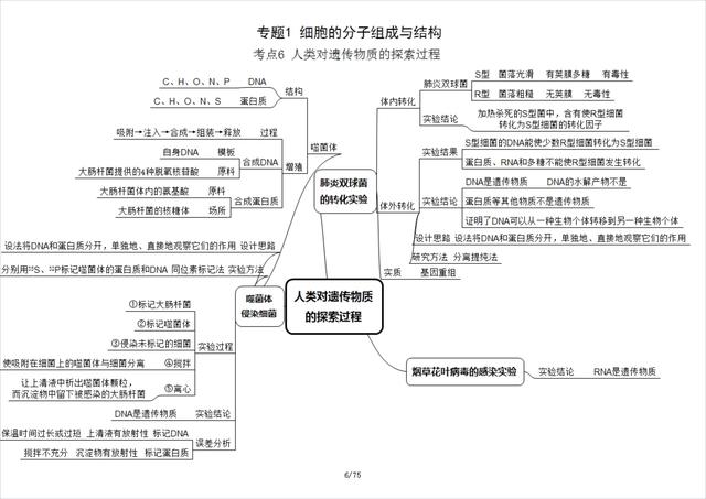 高中生物必修一思维导图，高中生物必修一全部思维导图（高中生物必修1思维导图）