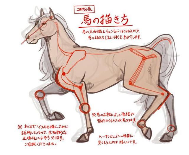 徐悲鸿画马技法，徐悲鸿马画法图（第一次看徐悲鸿画马的过程）