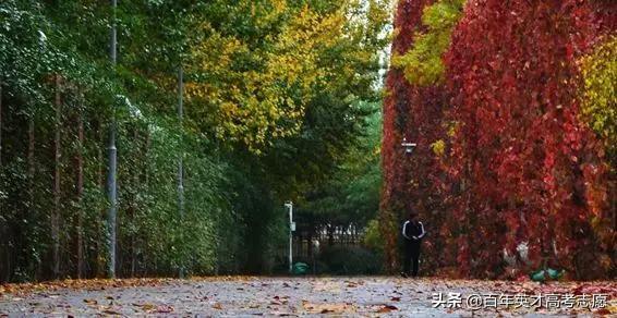 理工大学全国排名，国内理工大学排名一览表