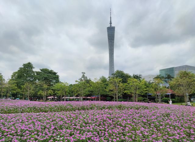 广州最适合去的公园，广州十个必打卡公园<免费篇>