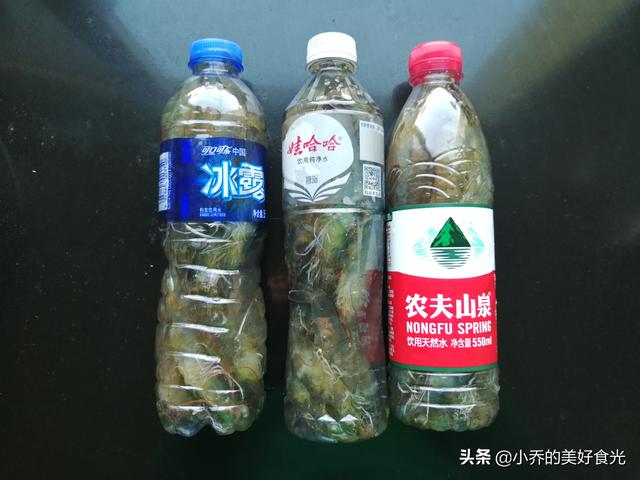 虾怎么保存才新鲜，鲜虾最佳的保存方法