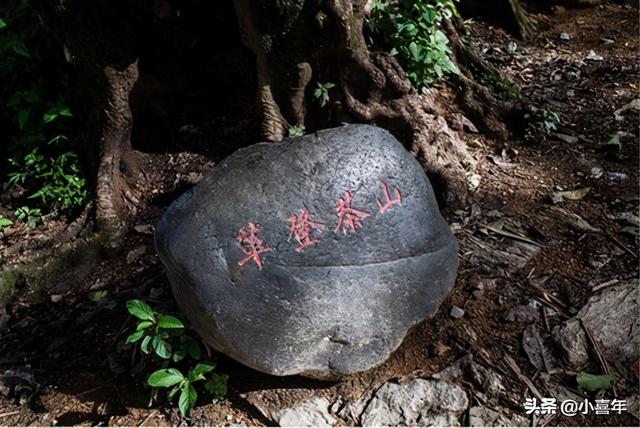 什么叫冰岛普洱茶茶语，为什么叫易武景迈