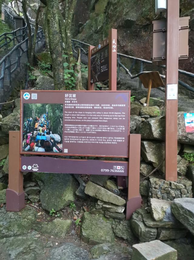 武功山旅游攻略，武功山旅游攻略一日游（江西武功山\u0026仙凤三宝亲子游记）