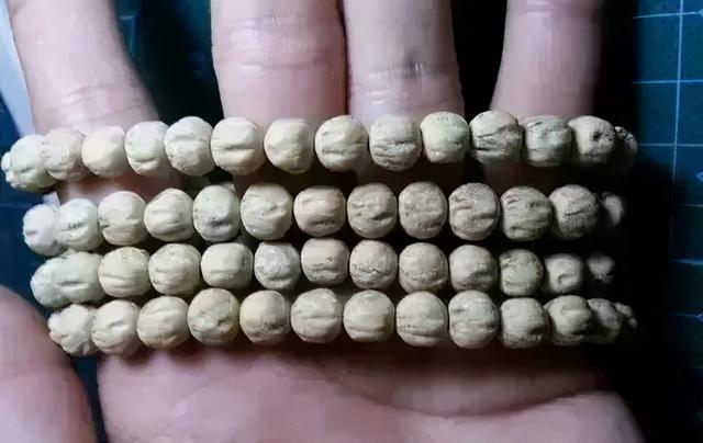 比较容易找到的树籽，不温不火的树籽