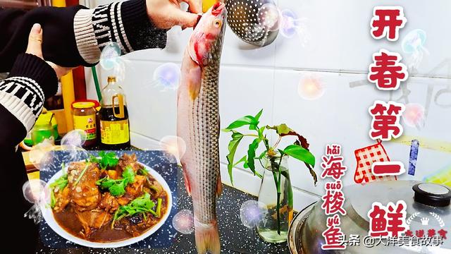 如何做梭子鱼，梭鱼5种最好吃的做法