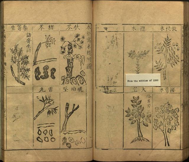 本草纲目全书带图，李时珍本草纲目全书（李时珍著《本草纲目》附图卷）