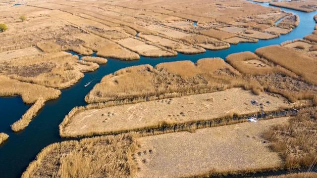白洋淀冬天的生活，只有60来岁的人才会做……